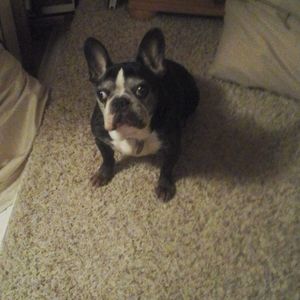 Meet your Posher, Crystal